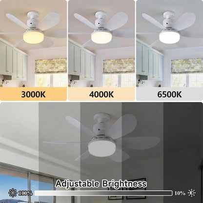 Ceiling Fan Light – Screw-In E27 Base For Instant Cool Air & Bright Light