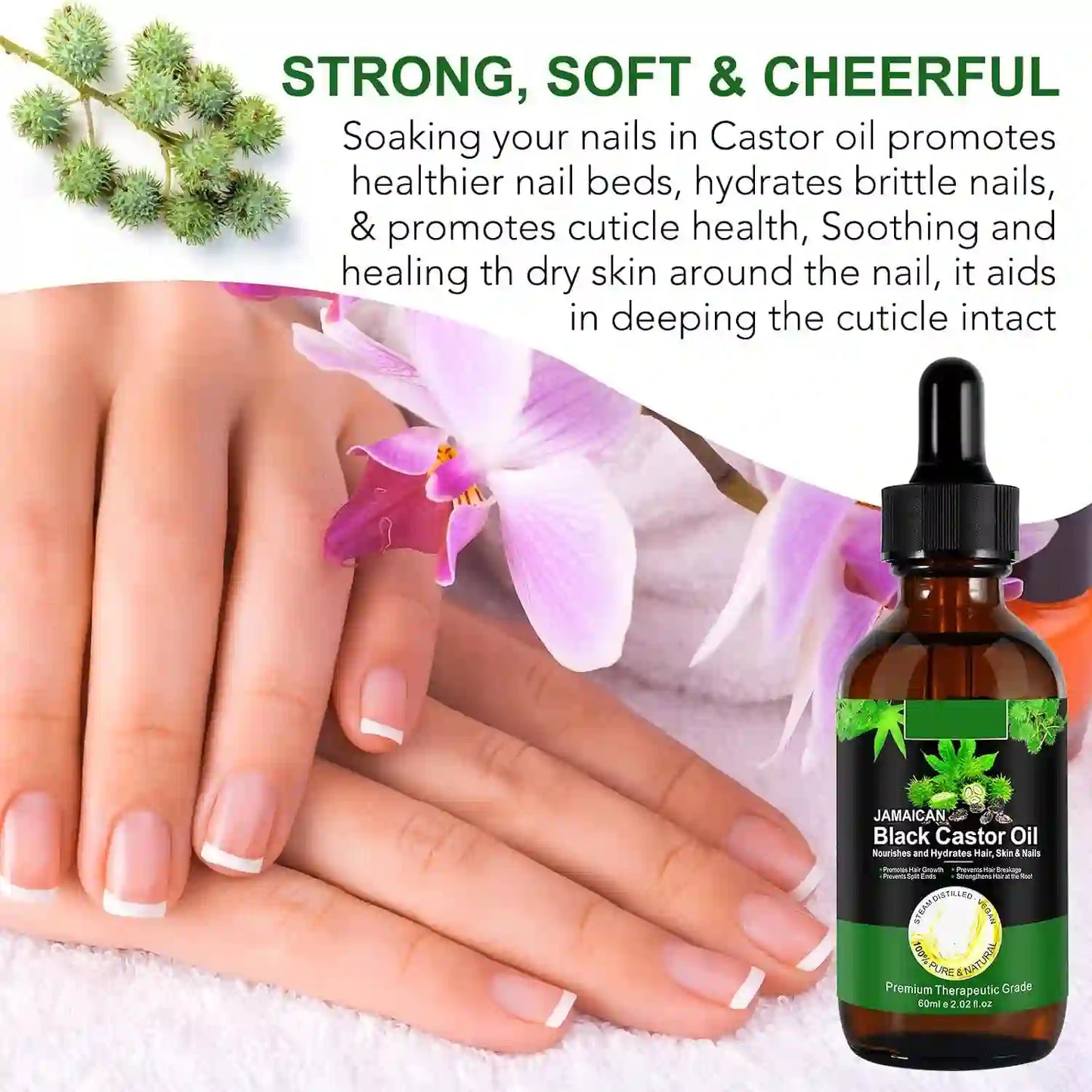 Black Castor Oil – Deep Follicle Activation For Maximum Hair & Lash Growth